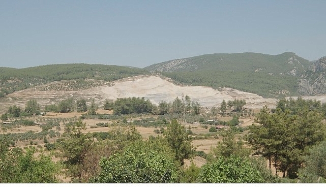 Doğa İçin Sorumluluk Hepimizde:   TEMA Vakfı 2025'in Çevre Olaylarını Değerlendirdi